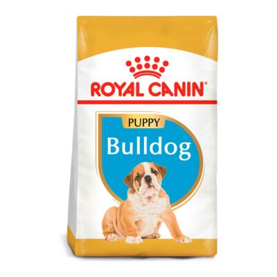 royal canin bulldog ingles cachorro