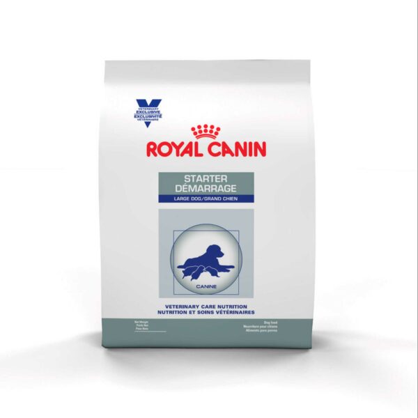 royal canin starter large dog