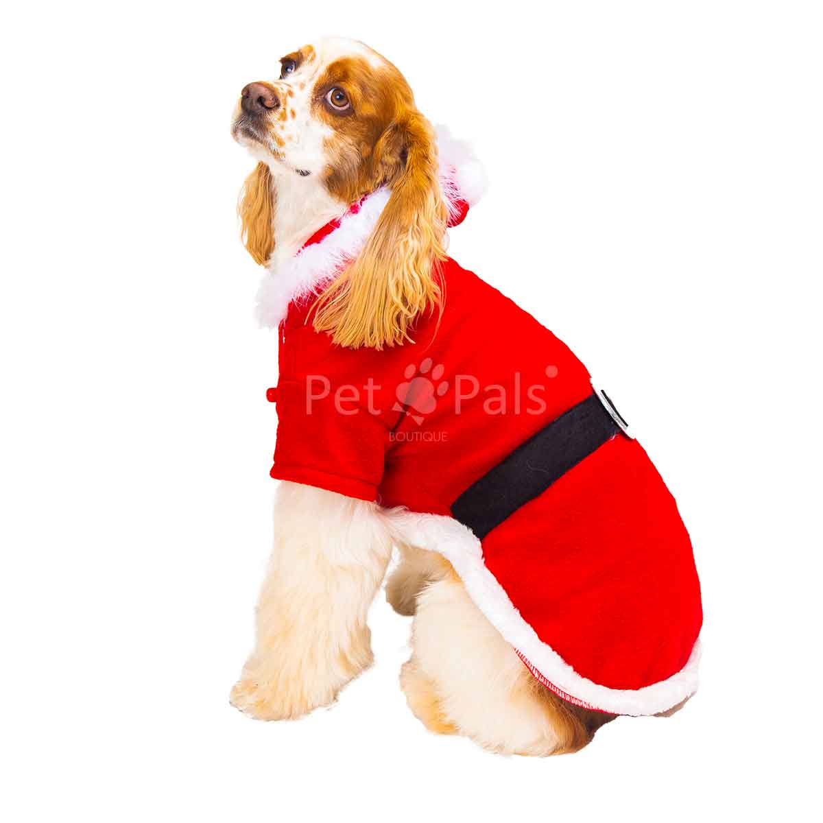 Disfraz de Santa Claus para perro - Farmascota
