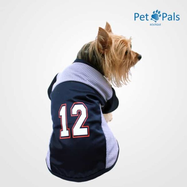 jersey de futbol americano para perro