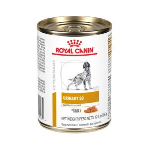 lata royal canin urinary moderate calorie
