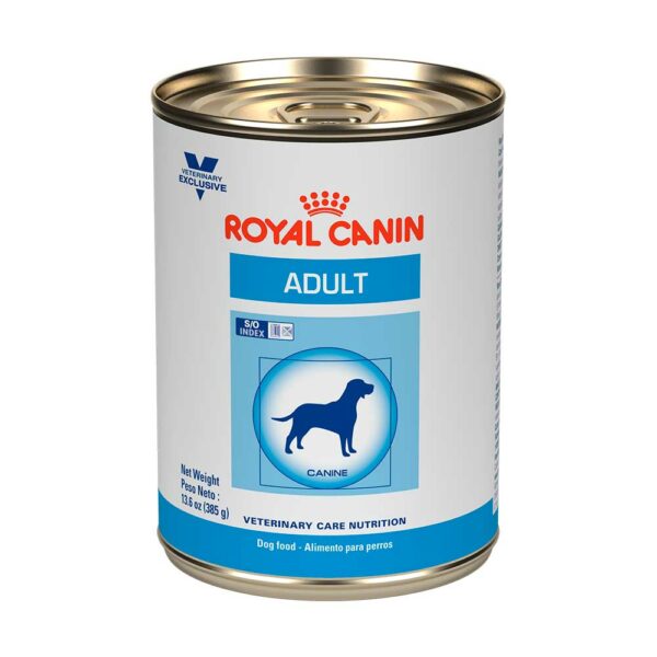 lata royal canin adulto
