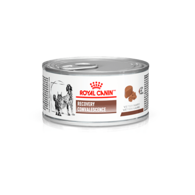 royal canin recovery
