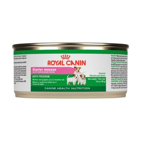 royal canin starter mousse