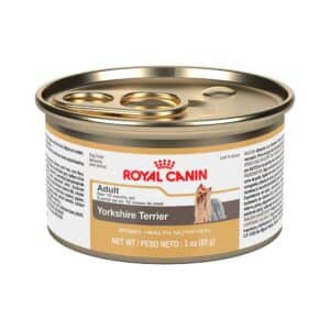lata royal canin yorkshire terrier