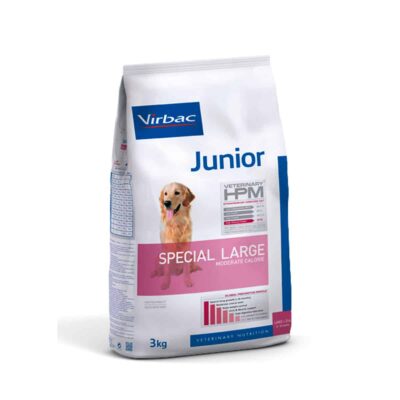 Virbac Junior Special Large