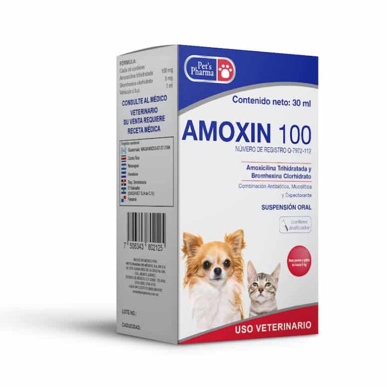 Amoxin 100