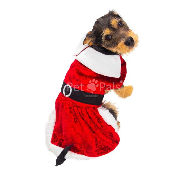 Vestido Sra. Claus para perro