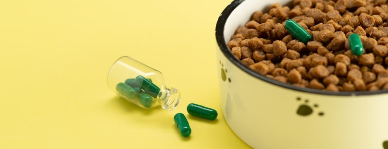 Alimentos para animales de una farmacia veterinaria con tabletas en un plato de croquetas.